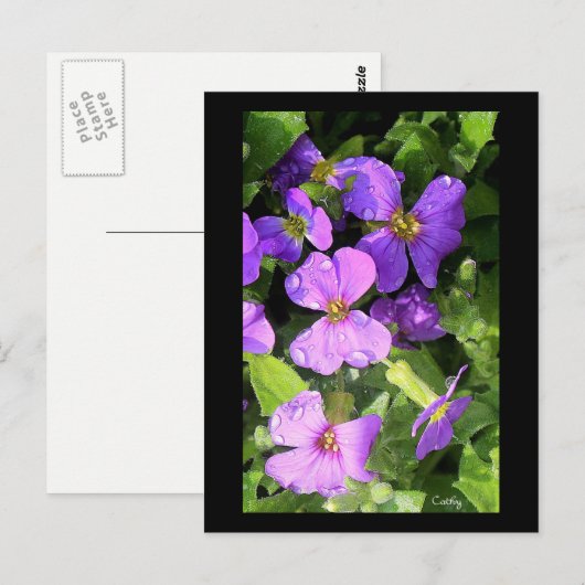 ロブリエテ ポストカード (正面/裏面)