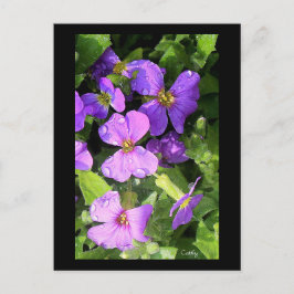 ロブリエテ ポストカード