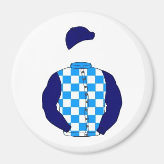 ロブルークレーシングカラーズマグネット マグネット