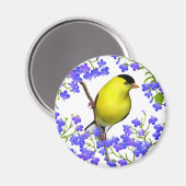 ロベリアの花の磁石のアメリカのオスの金フィンチ マグネット (正面/裏面)