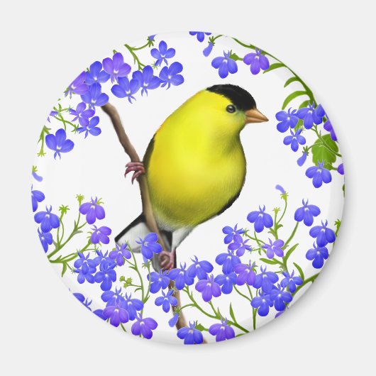 ロベリアの花の磁石のアメリカのオスの金フィンチ マグネット (正面)