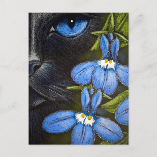 ロベリアの花はがきの後ろの黒猫 ポストカード (正面)
