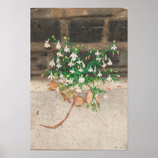 ロベリアの黒い壁で ポスター (正面)