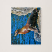 ロベン島フロリダ ジグソーパズル (縦)