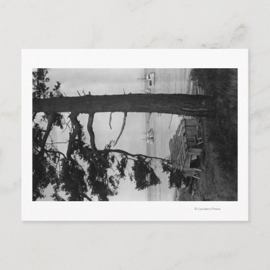 ロペス島、ワシントン州 - 湾内の釣り船 ポストカード (正面)