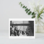 ロペス島、ワシントン州 - 湾内の釣り船 ポストカード (スタンド正面)