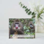 ロペ・オカンダの生態系と文化的景観 ポストカード (スタンド正面)