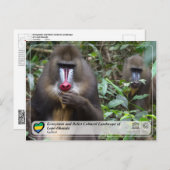 ロペ・オカンダの生態系と文化的景観 ポストカード (正面/裏面)