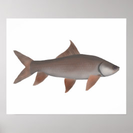 ロホラベオ ポスター