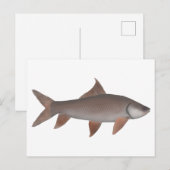 ロホラベオ ポストカード (正面/裏面)