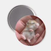 ロボアップ磁石 マグネット (正面/裏面)