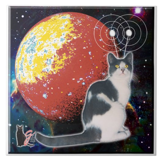 ロボキャットホボタイル タイル (正面)