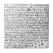 ロボットゲノム001 タイル (正面)