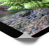 ロマネスコブロッコリー野菜 ポスター (角)