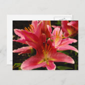 ロマロシアのンス ポストカード (正面/裏面)