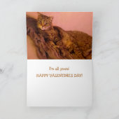 ロマンすごいチキャッおもしろいトバレンタインデー シーズンカード (内部)