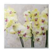 ロマンエレガントティッククリーム&薄紫ラン タイル (正面)