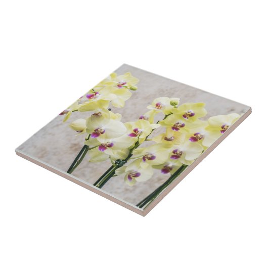 ロマンエレガントティッククリーム&薄紫ラン タイル (側面)