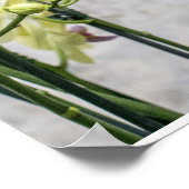 ロマンエレガントティッククリーム&薄紫ラン ポスター (角)