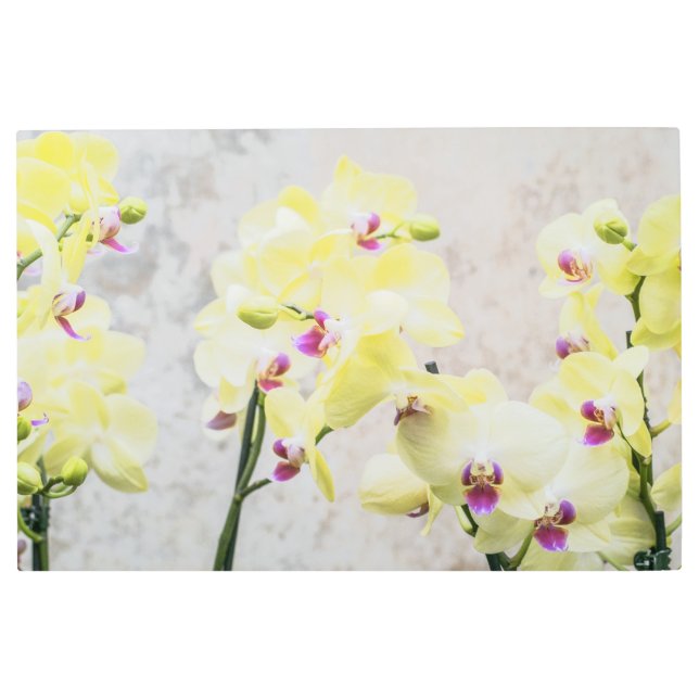 ロマンエレガントティッククリーム&薄紫ラン メタルプリント (正面)