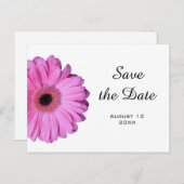 ロマンエレガントティピンクガーベラデイジー 案内ポストカード (正面/裏面)