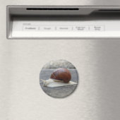 ロマンカタツムリ磁石 マグネット (インサイチュ (食洗機))