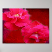 ロマンスと赤いバラのポスター ポスター (正面)