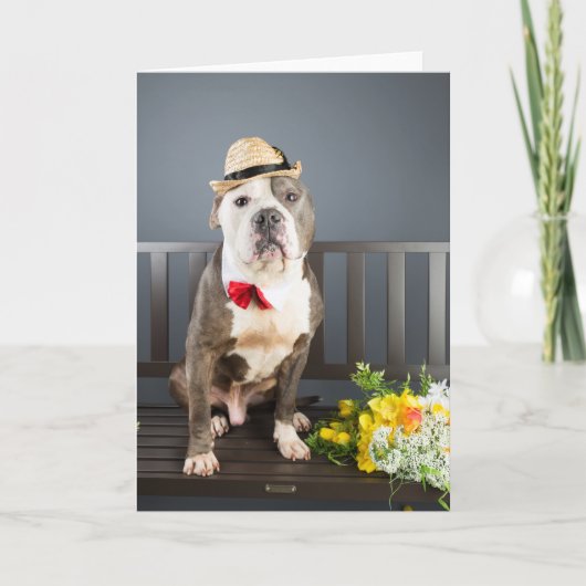 ロマンスカード カード (正面)