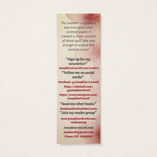 ロマンスキス作家の販促資料 (裏面)