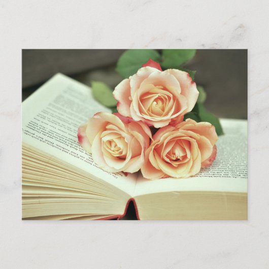 ロマンス本葉書、本葉書 ポストカード (正面)