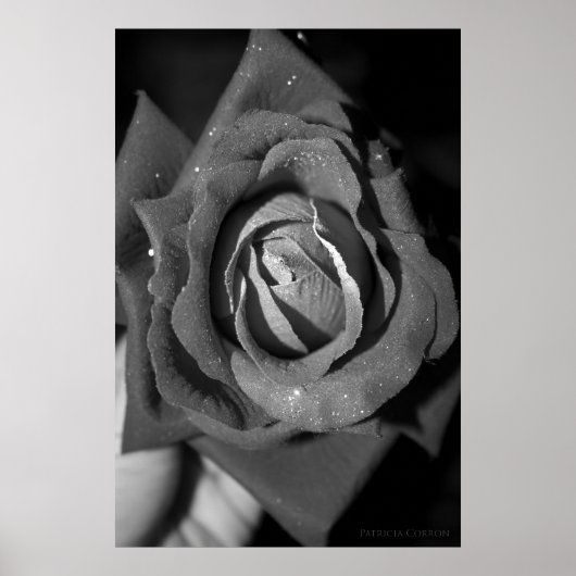 ロマンス ポスター (正面)