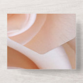 ロマンチエレガントックなピンクのバラの花のフローラ結婚のA オールインワン招待状 (裏面)