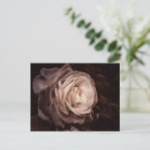 ロマンチカ - このバラは愛を表す ポストカード (スタンド正面)