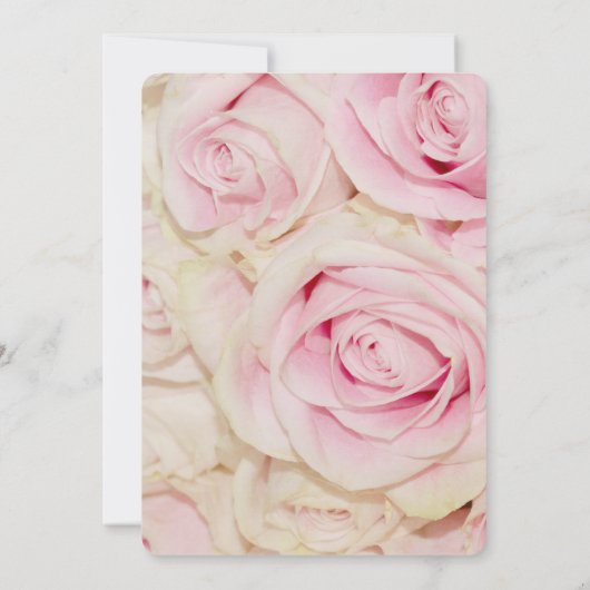 ロマンチックかわいらしなピンクのクリームバラの結婚式の誘い 招待状 (裏面)