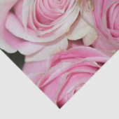 ロマンチックかわいらしなピンクのクリームバラ 薄葉紙 (詳細)