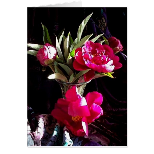 ロマンチックで赤いシャクヤク (正面)