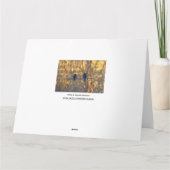 ロマンチックなすずめの鳥のカップル、写真の大きい挨拶 カード (裏面)