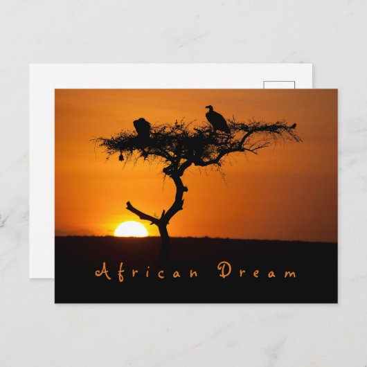 ロマンチックなアフリカの夢の夕日の写真と文字 ポストカード (正面/裏面)