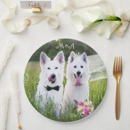 ロマンチックなカップルの犬が結婚した来る ペーパープレート