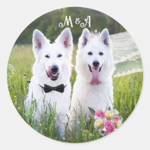 ロマンチックなカップルの犬が結婚した来る ラウンドシール