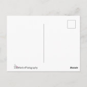 ロマンチックなキリンのハグ オリジナルメッセージ入り ポストカード (裏面)