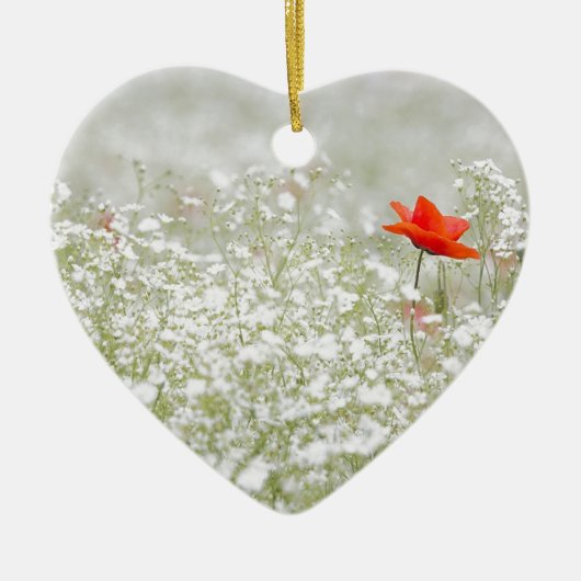 ロマンチックなケシの花の赤く白い草原 セラミックオーナメント (正面)