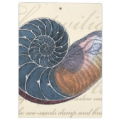 ロマンチックなシーシェル クリップボード (裏面)