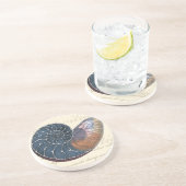 ロマンチックなシーシェル コースター (側面)