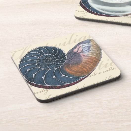 ロマンチックなシーシェル コースター (左側)