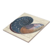 ロマンチックなシーシェル タイル (側面)