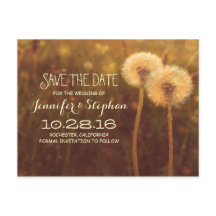 ロマンチックなタンポポの花々は日付のはがきを保存