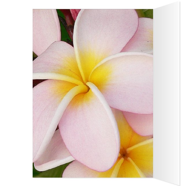 ロマンチックなデートの花rsvpカラフルシック (内側 (左))