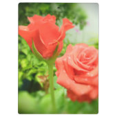 ロマンチックなバラの花 クリップボード (裏面)