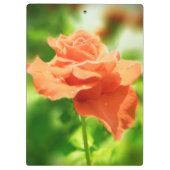 ロマンチックなバラの花#2 クリップボード (裏面)